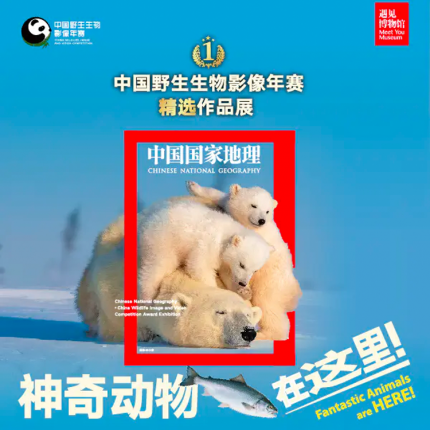 【朝阳区·798遇见博物馆·展览】神奇动物在这里——中国野生生物影像年赛精选作品展