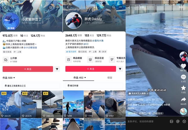 当旅行不再满足于“看见”：参与式消费如何改写酒旅逻辑？[墙根网]