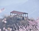 昌平十三陵大岭沟猕猴桃谷风景区 3月20日恢复开园