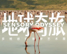 【东城区·隆福寺·展览】地球奇旅-多维感官数字艺术展