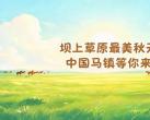 坝上草原最美秋天，中国马镇等你来